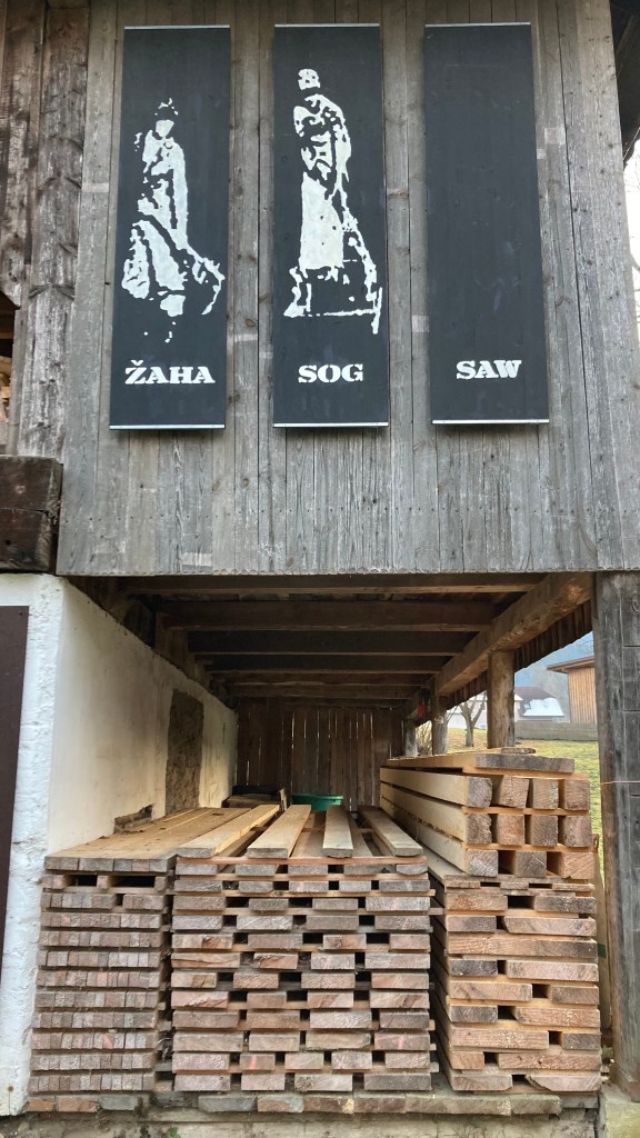 sawmill with planks of wood underneath drying