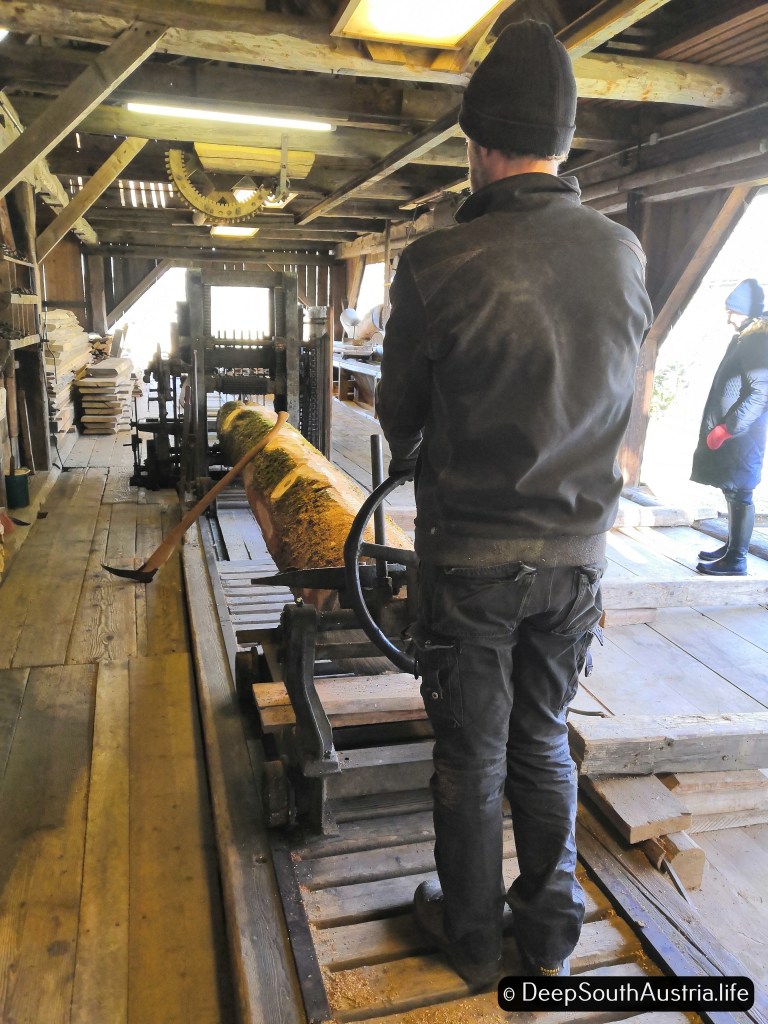 Trunk about to be sawn in old saw mill