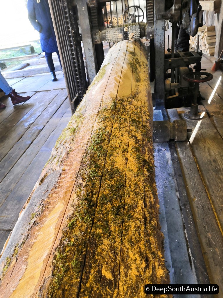 A trunk after being sawn in an old saw mill