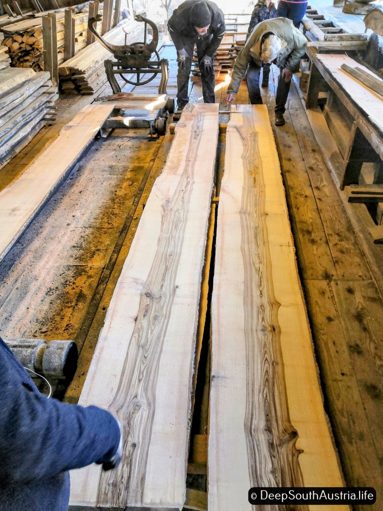 The grain of a trunk of ash is revealed after sawing in old saw mill